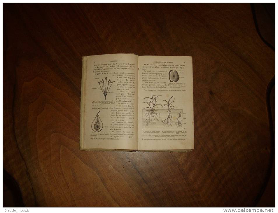 1890 La Première Année D' Agriculture Et D' Horticulture ..cours Moyen Et Première Année De Cours Supérieur - Wissenschaft