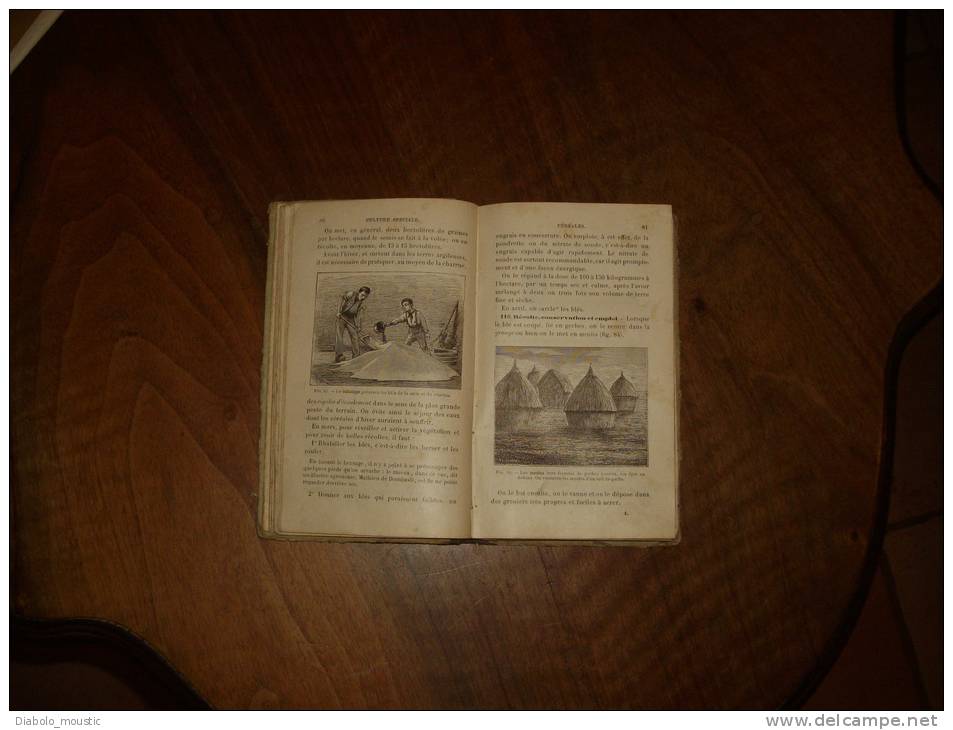 1890 La Première Année D' Agriculture Et D' Horticulture ..cours Moyen Et Première Année De Cours Supérieur - Wissenschaft