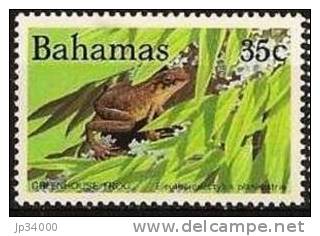 BAHAMAS: Grenouille (Yvert N° 563H). Neuf Sans Charniere ** MNH - Grenouilles