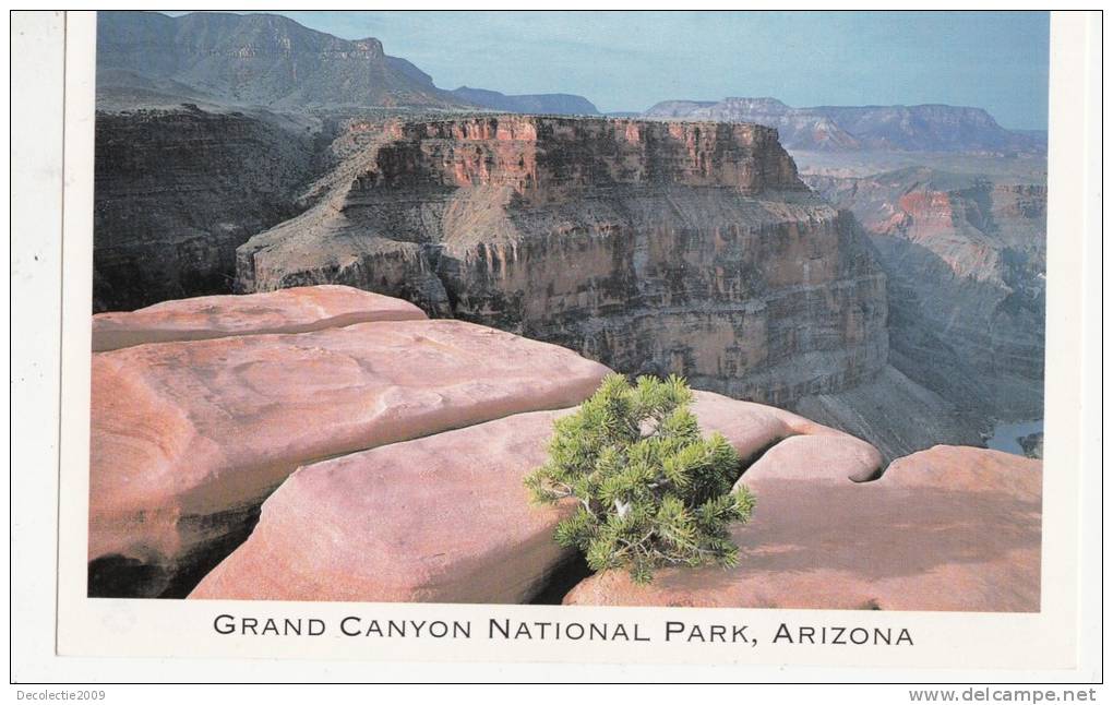 ZS12289 Grand Canyon National Park Not Used Perfect Shape - Grand Canyon