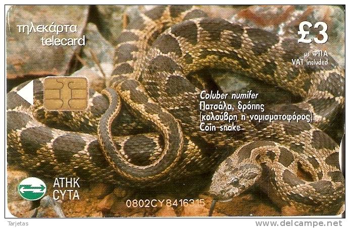 TARJETA DE CHIPRE DE UNA SERPIENTE (SNAKE) - Jungle