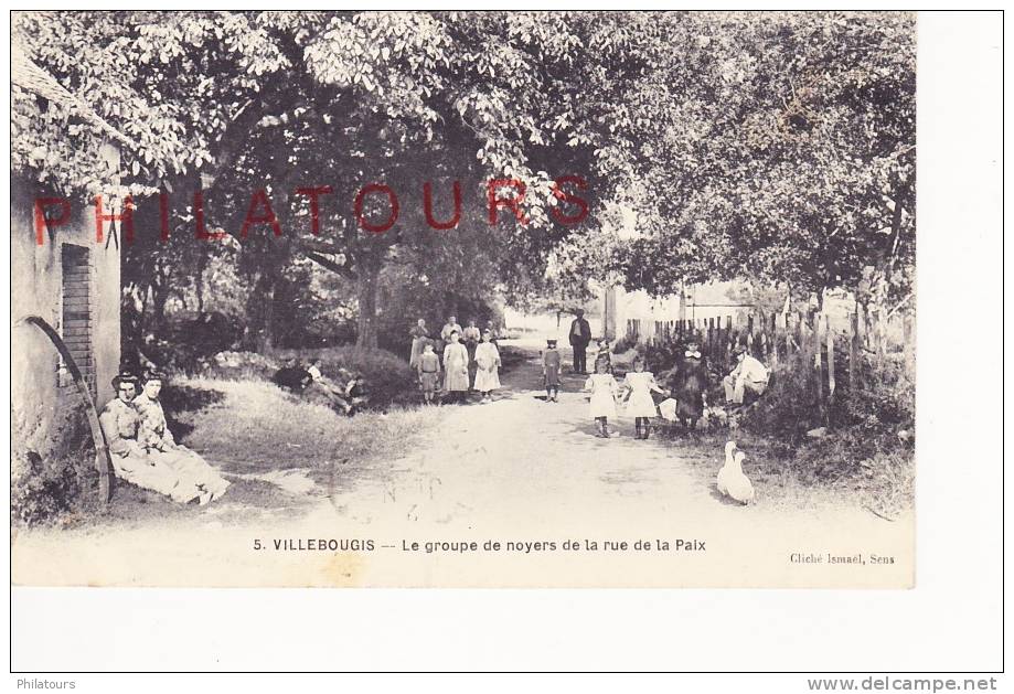 VILLEBOUGIS  /  LE GROUPE DE NOYERS DE LA RUE DE LA PAIX     1919 - Villebougis