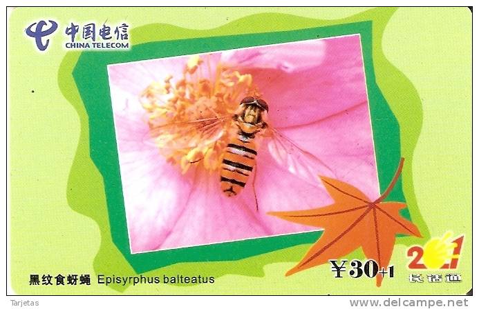 TARJETA DE CHINA DE UNA ABEJA EN UNA FLOR (BEE-FLOWER) - Honeybees