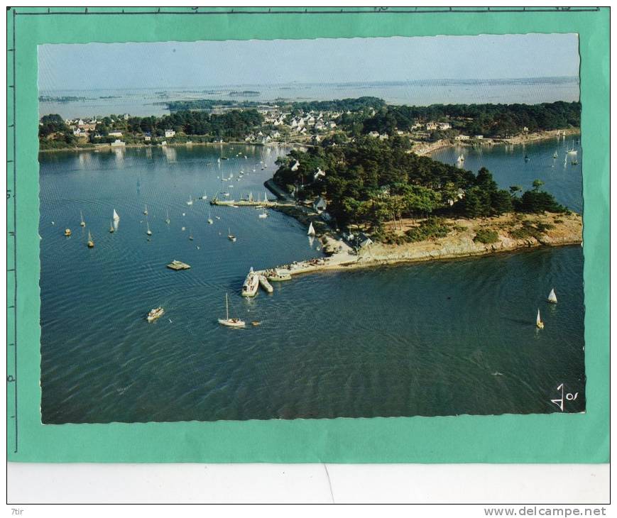 L'ILE AUX MOINES GOLFE DU MORBIHAN - Ile Aux Moines