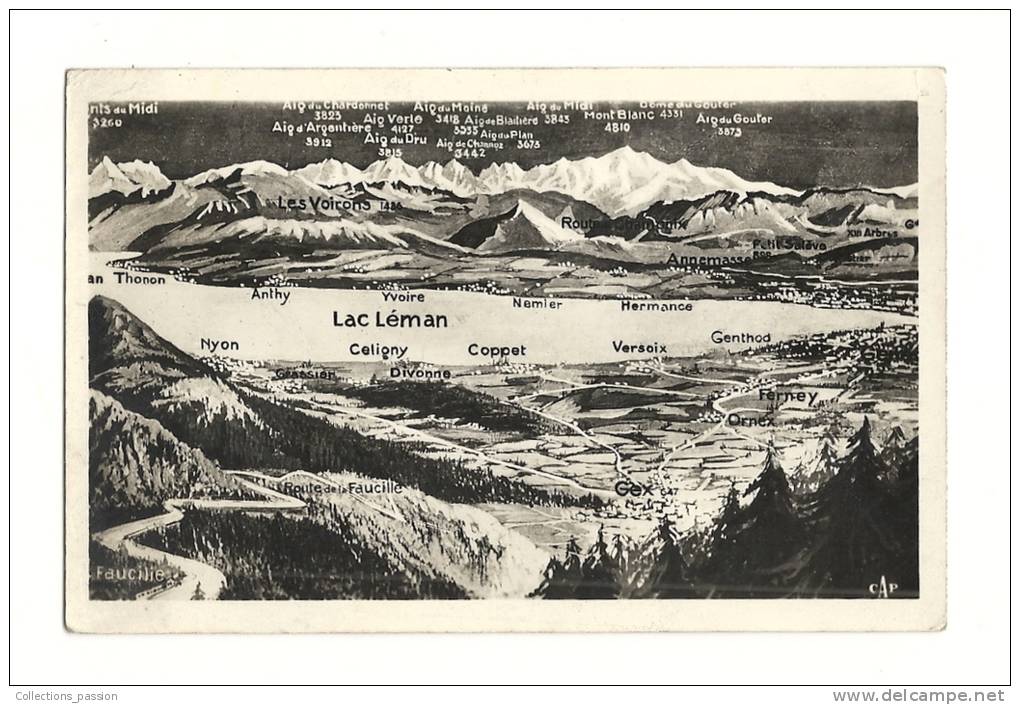 Cp, Carte Géographique, Lac Léman, Plan, Voyagée 1951 - Carte Geografiche