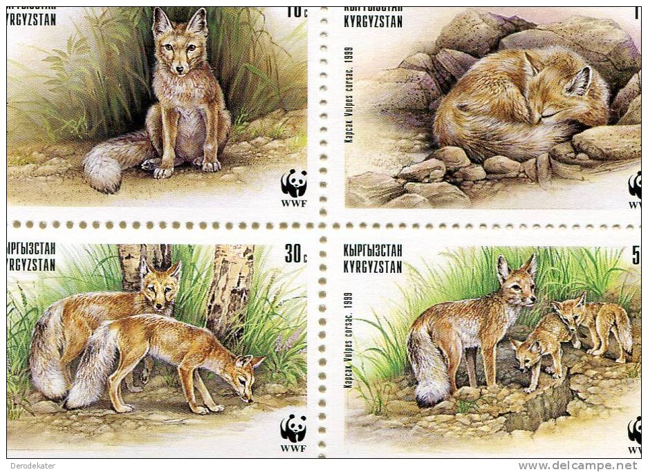 Kyrgyzstan 1999.WWF.Vulpes Corsac. 4v.MNH**.Steppe Fox.Renard Corsac.Zorro Corsac.Fox.Vos.Vossen.Wildlife. Foxes. New! - Kyrgyzstan