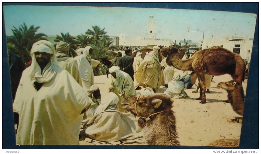 EL OUED.LE Souk Aux Chameaux.Cpsm,voyagé,be,animée,plissures - El-Oued