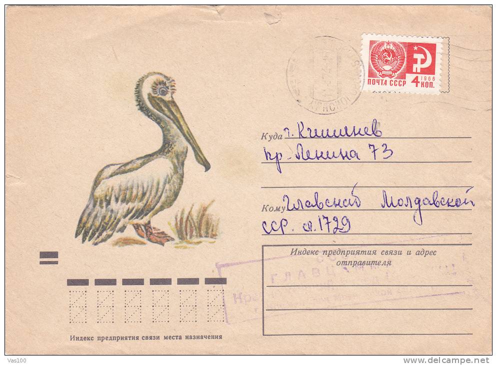 Pelicans Pelican,1973  Postal Stationery,entier Postaux  Cover Very Rare Russia. - Pelikane