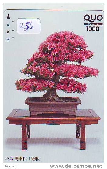 Télécarte Japon * Arbre Nain * BONSAI * 256 * Dwarf Tree Japan Phonecard * Telefonkarte Baum - Flores