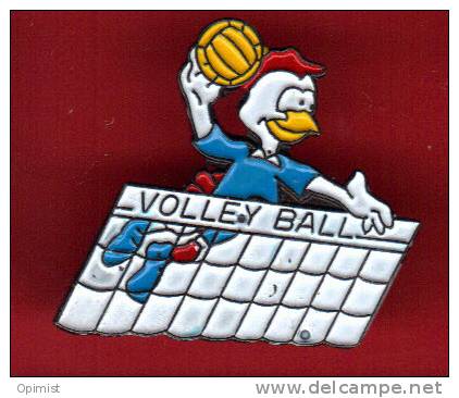 19108-coq..volley Ball - Volleybal