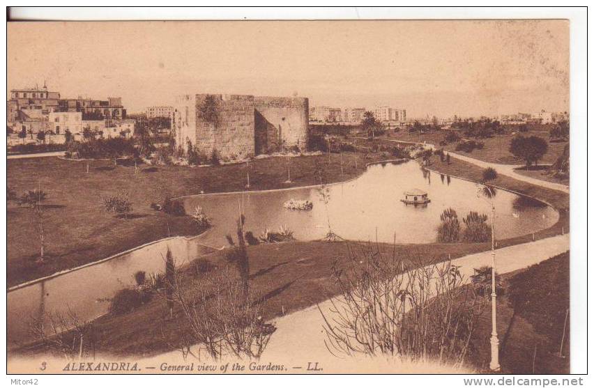 6-Alexandrie-Egypte-Egitto-General View Of The Gardens-Nuova-Primi 900. - Alexandrie