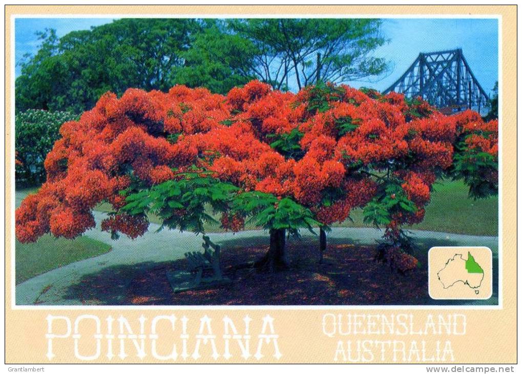 Poinciana -Showy Tropical Tree, Queensland, Used 1984, Wren - Autres & Non Classés