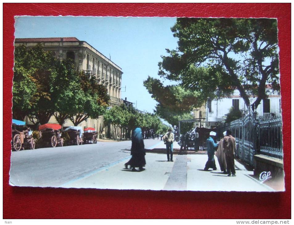 ALGERIE - GUELMA - L'AVENUE SADI CARNOT - - Guelma