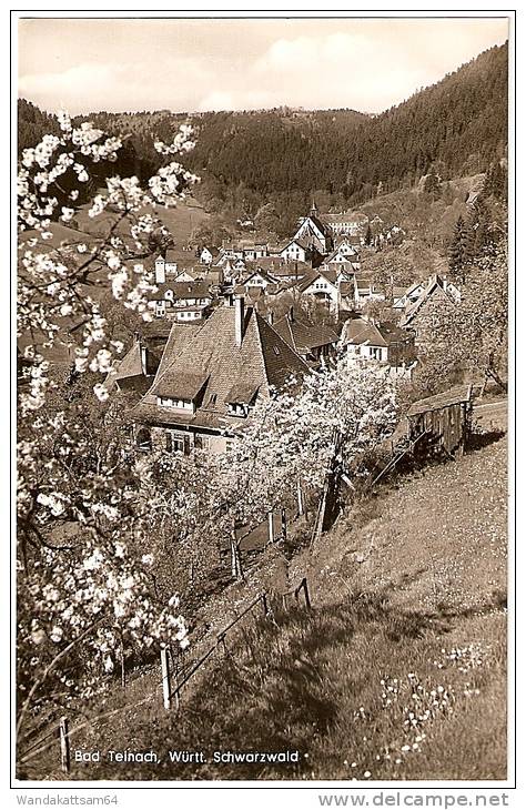 AK 248517 Bad Teinach, Württ. Schwarzwald Entwickeln Kopieren Vergrößeren Bei Foto-Fuchs - Bad Teinach