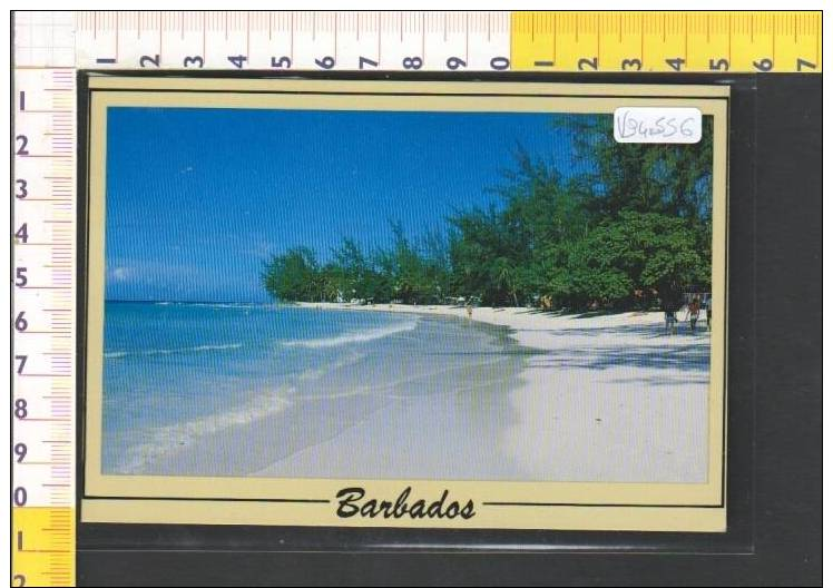 V94556 BARBADOS ACCRA BEACH CHRIST CHURCH - Barbados