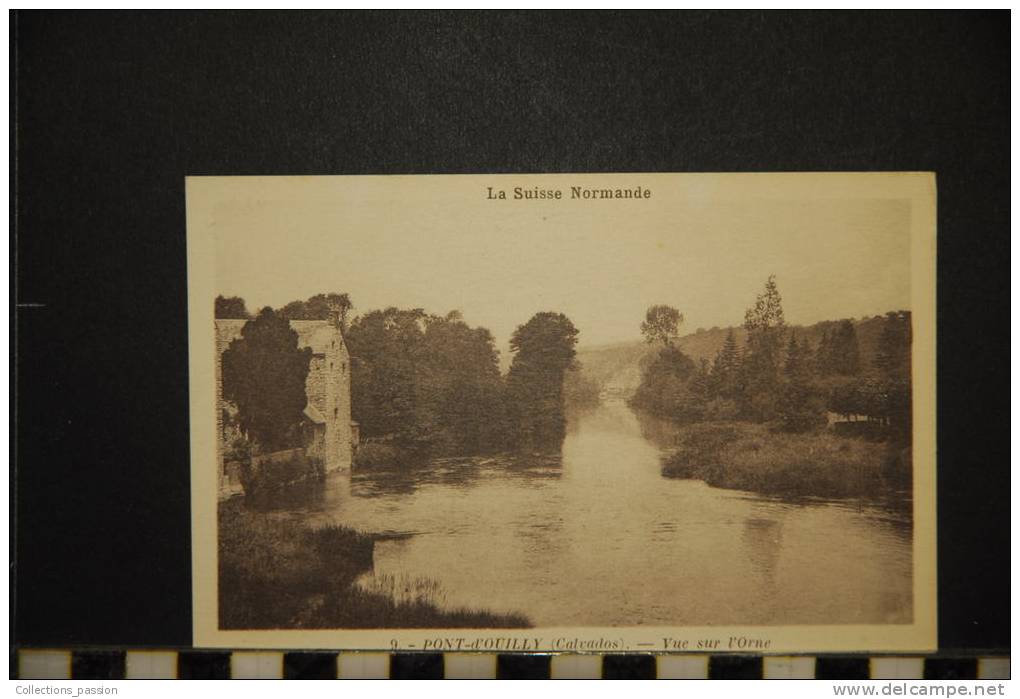 CP,14 , PONT D'OUILLY VUE SUR L'ORNE - Pont D'Ouilly