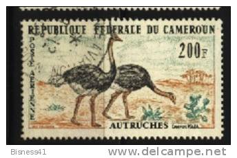 CAMEROUN  PA N° 55 Oblitéré Cote 2,50€ Au Quart De Cote - Other & Unclassified