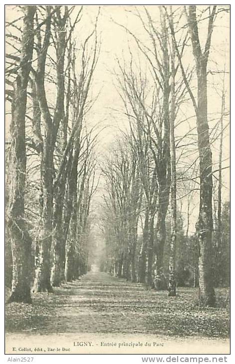 LIGNY - Enrée Principale Du Parc (E. Collot, édit., Bar-le-Duc) - Sombreffe