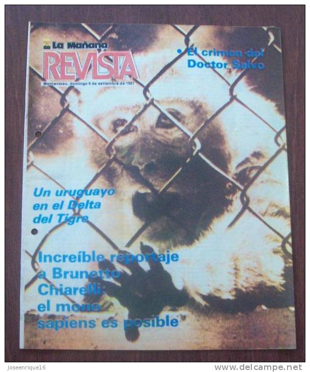 NAZISMO FREUD, BRUNETTO, URUGUAY 1987 - REVISTA, MAGAZINE. - [2] 1981-1990