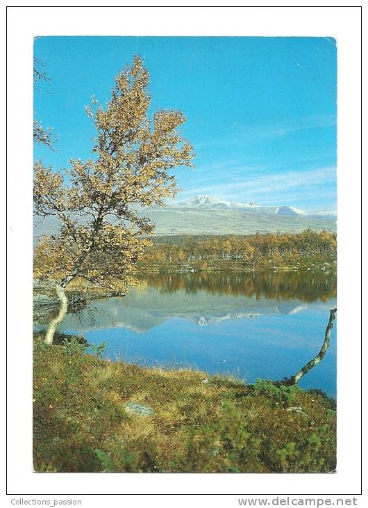 Cp, Norvège, Rondane, Voyagée 1984 - Norvège