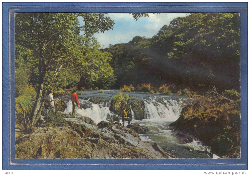 Carte Postale Pays De Galles  Cenarth  The Waterfalls  Pêche Trés Beau Plan - Altri & Non Classificati