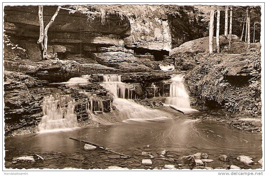 AK 63 Monbachschlucht Bei Bad Liebenzell Im Schwarzwald ECHTES Schöning Foto - Calw