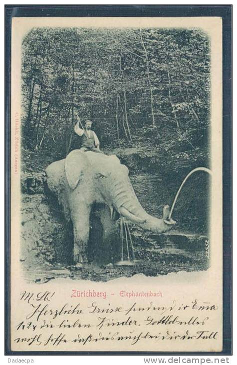Eléphant, Animée, Zürichberg, Elefantenbach, - Elefantes