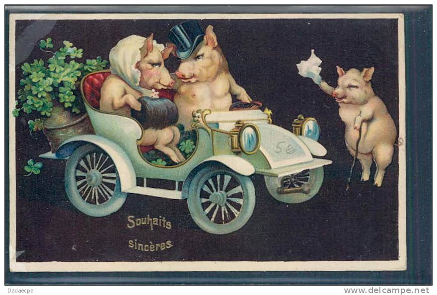 Cochon, Schwein, Voiture, Auro, Automobile, - Cochons