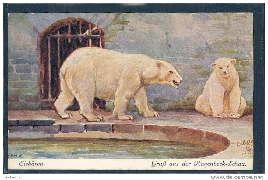 Ours, Bär, Hagenbeck - Schau, - Ours