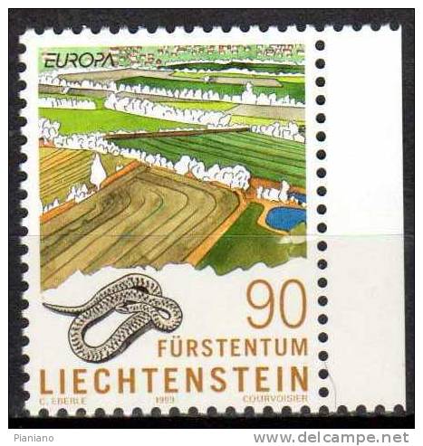 PIA -  LIECHTENSTEIN  -  1999  : Europa    (YV  1131-32) - 1999