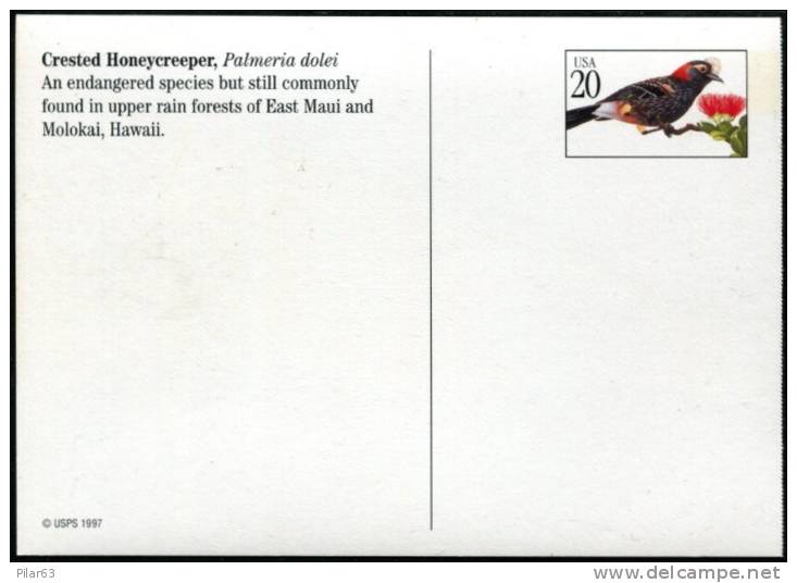 USA 1997 - MINT STAMPED POSTAL CARD - CRESTED HONEYCREEPER - Songbirds & Tree Dwellers