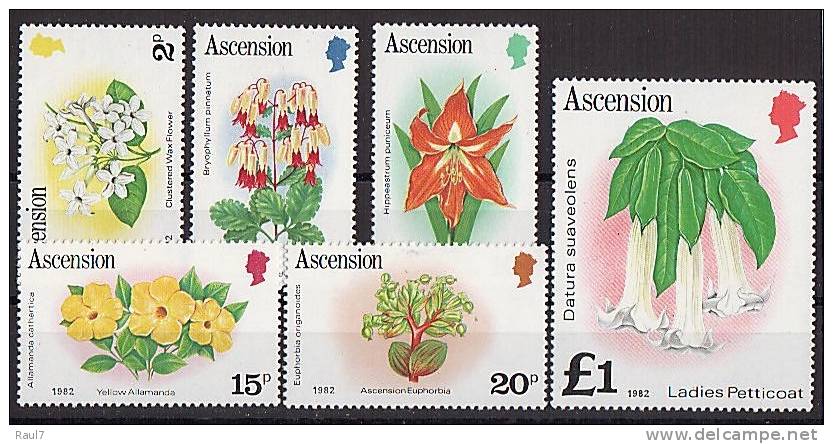 ASCENSION  // Flore, Fleurs Divers Réimpression 1982 // NEUFS - MNH - Ascension