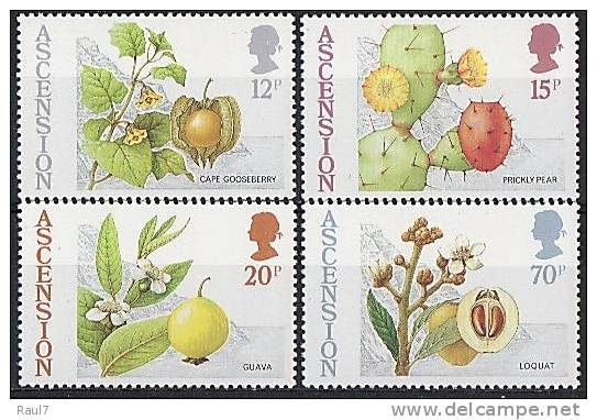 ASCENSION  // Fruits Tropicaux  // NEUFS - MNH - Ascension (Ile De L')