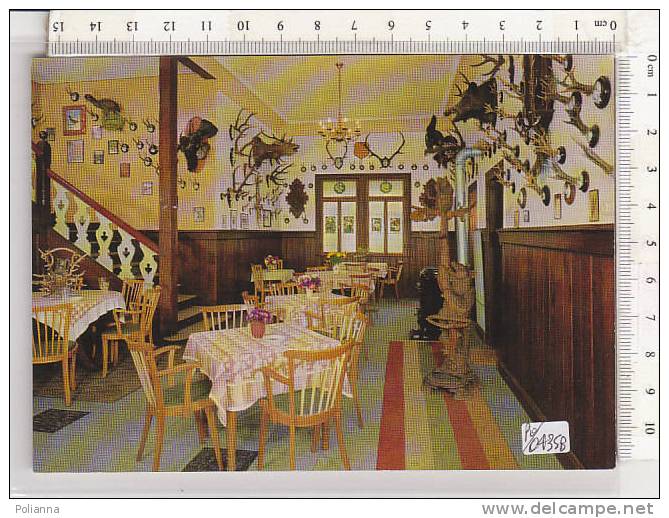 PO0435B# GERMANIA - GERMANY - BAD KISSINGEN - CAFE' JAGDHAUS - TROFEI CACCIA  No VG - Bad Kissingen