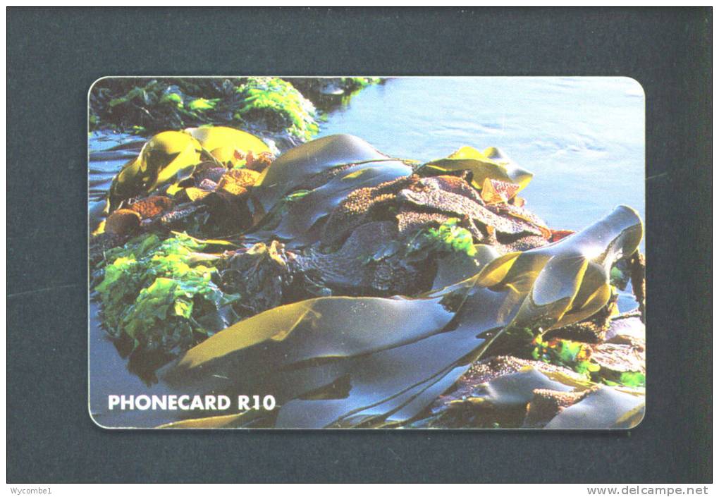 SOUTH AFRICA  -  Chip Phonecard As Scan - Afrique Du Sud