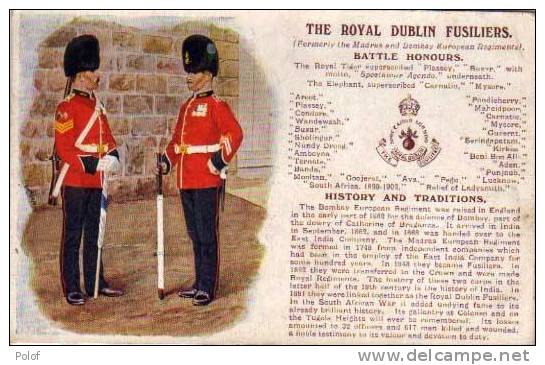 J.MY.... The Royal Dublin Fusiliers   (30678) - Autres & Non Classés