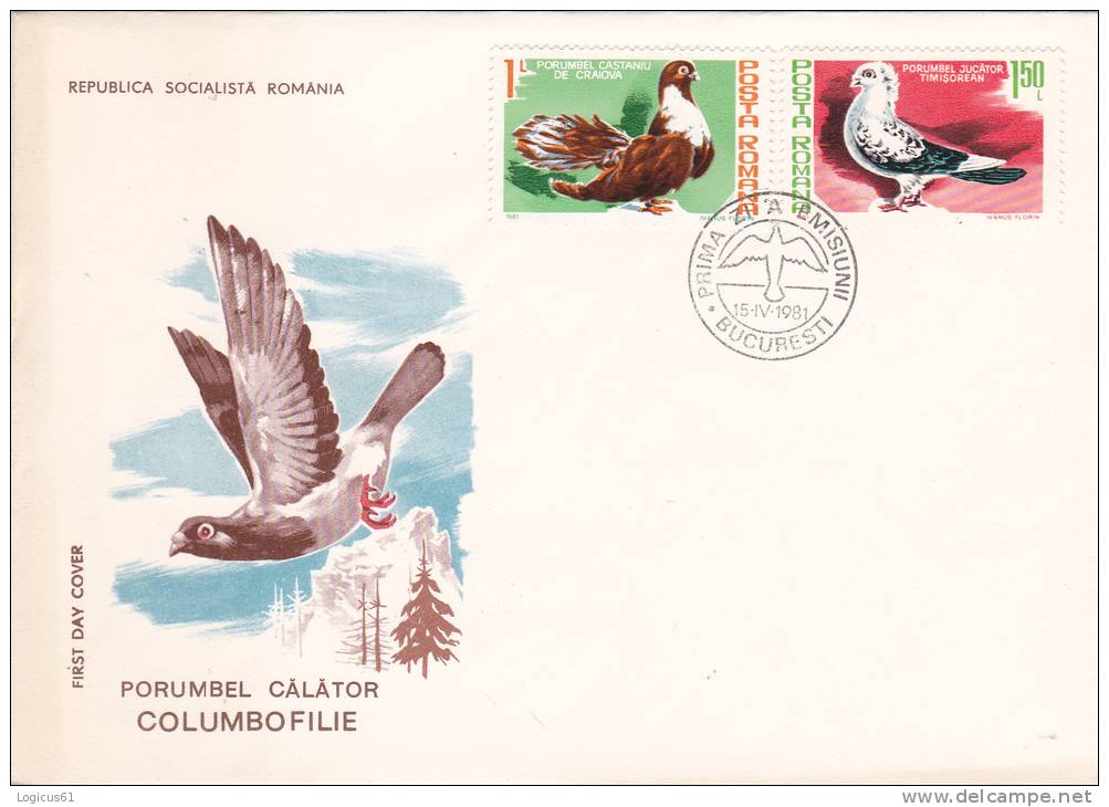 Servers: Pigeons ,castaniu De Craiova Si Jucator De Timisoara. FIRST DAY COVER .15.04.1981 Bucharest ROMANIA - Pigeons & Columbiformes