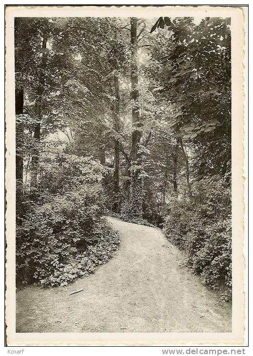 CP De MELLE-lez-GAND " Le Parc , Le Chemin Montant " . - Melle