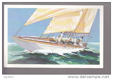 America's Cup - Postal Card Scott # UX163 - 1981-00