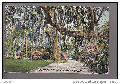 Charleston, Sout Carolina, Walk In The Magnolia Gardens 1911 - Charleston