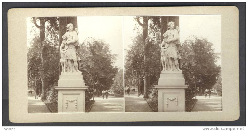 Amateur Stereoview België / Belgique - Brussel / Bruxelles 1905, Diana In Het Park - Photos Stéréoscopiques