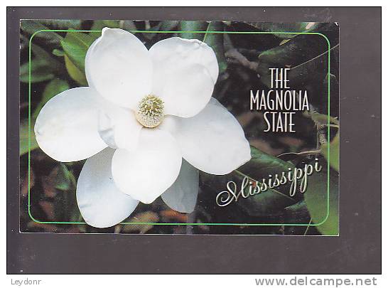 The Magnolia State, Mississippi - Autres & Non Classés