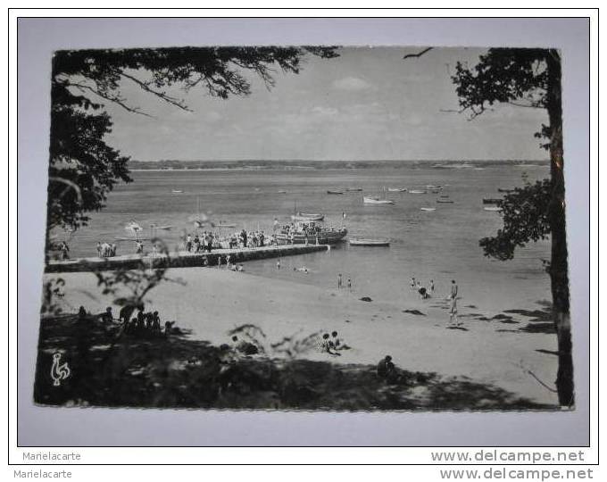 M767 *  Beg Meil La Plage Et La Cale  Et La Jetée 1957  Postée De Bénodet - Beg Meil