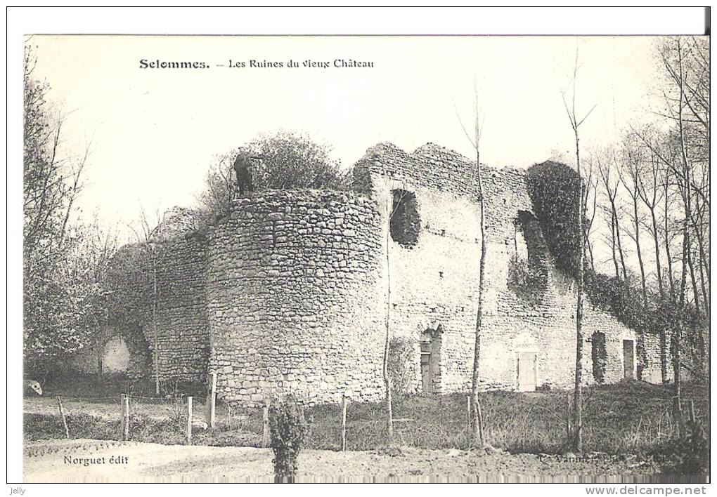 SELOMMES -   Les Ruines Du Vieux Château         TTBE - Selommes