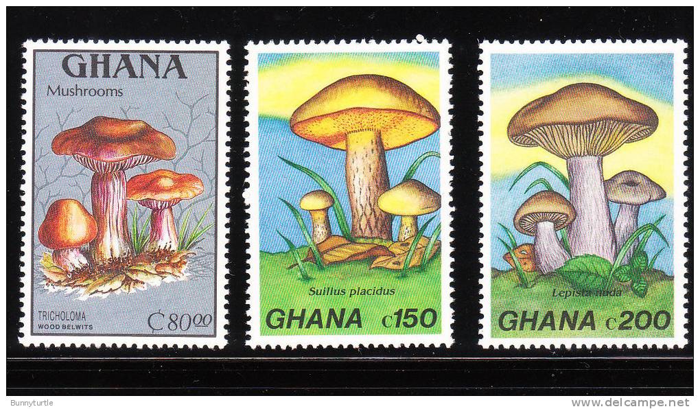 Ghana 1989 Mushrooms MNH - Ghana (1957-...)