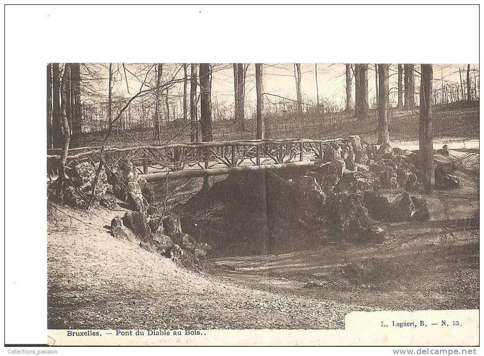 CP, Belgique, Bruxelles, Pont Du Diable Au Bois, 1908, Voyagée - Forêts, Parcs, Jardins