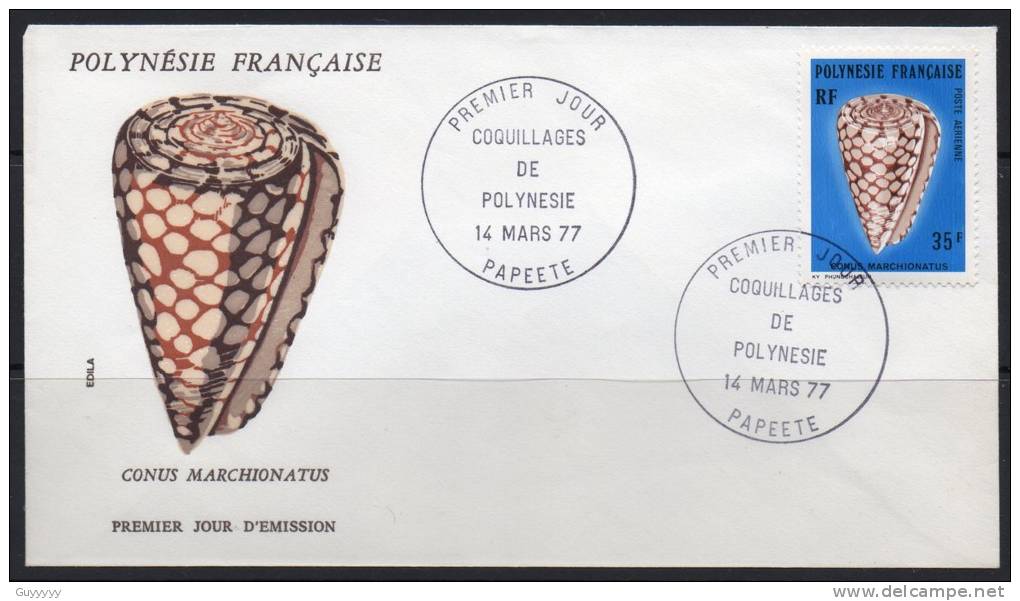 Polynésie - FDC - Coquillages De Polynésie - 1977 - FDC