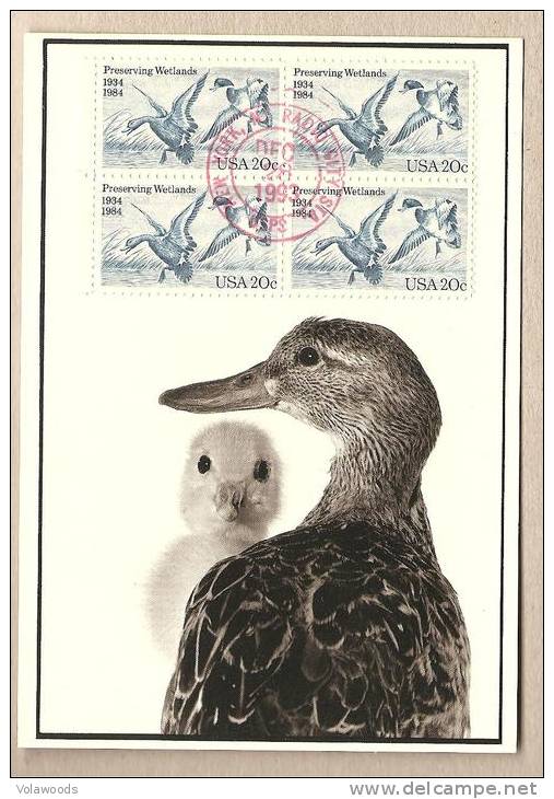 USA - Cartolina Maximum Con Quartina Viaggiata Per L´Italia: Anatre - 1984 * G - Canards