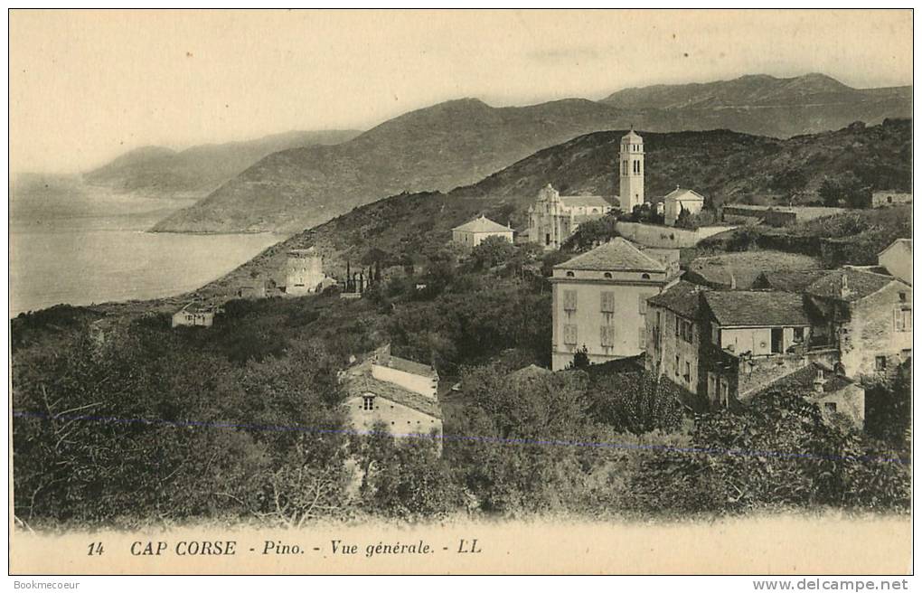 20  CAP CORSE   PINO  VUE GENERALE  LL  14 - Corse