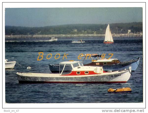 {44066} 33 Gironde Baie D'Arcachon , Les Pinasses Du Bassin ; Bateau Pneumatique Eole , Voilier - Pêche